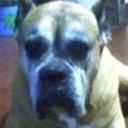 Tayson