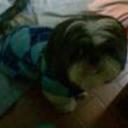 Pancho