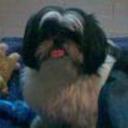 Pancho