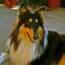 Renato