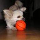 Rudy
