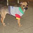 Osita