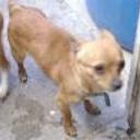 Guero