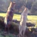 Kin - kon y barni hermanos