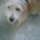 Jorge