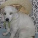 Rony