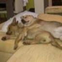 Olga y toby
