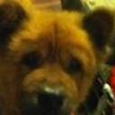 Oso