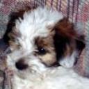 Ralf 