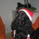 Blacky