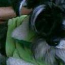 Lucas