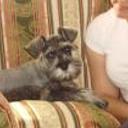 Lucas