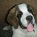 Hercules
