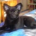 Chiqui
