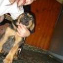 Homero