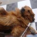 Bengy