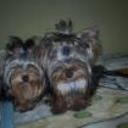 Nina y deysi