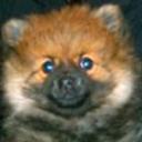 Bolita