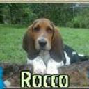 Roco