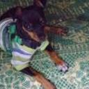 Tony