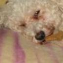 Candy bastida gutierrez