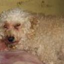 Channel aguilar gutierrez