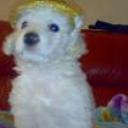 Rocki