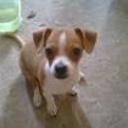 Molly