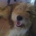 Lola