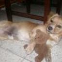 Zimba