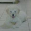 Zeyko