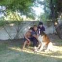 Cabeza