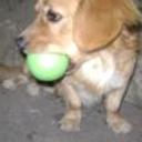 Zimba