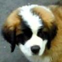 Barry