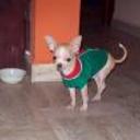 Ody
