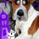 Pancho