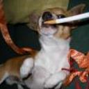 Huguito