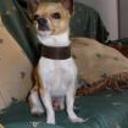 Huguito