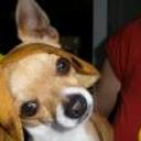 Huguito