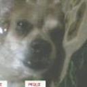 Peque