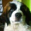Barry