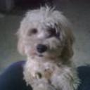 Bobby