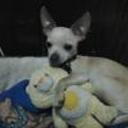 Tido
