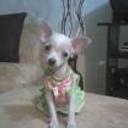 Molly