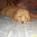 Milton