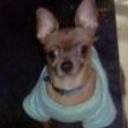 Peque
