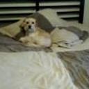 Molly