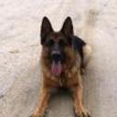 Golfo