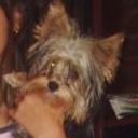Jerry
