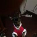 Jack